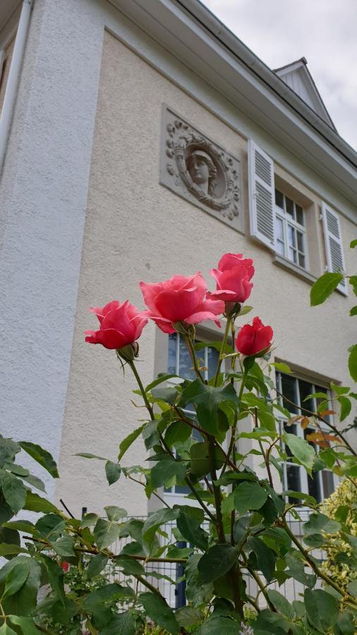 Lilienmatt Apartments Baden-Baden Exteriér fotografie